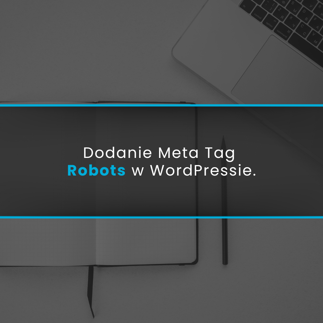 Dodanie Meta Tag Robots